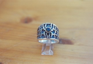 Ring SMCD (2)